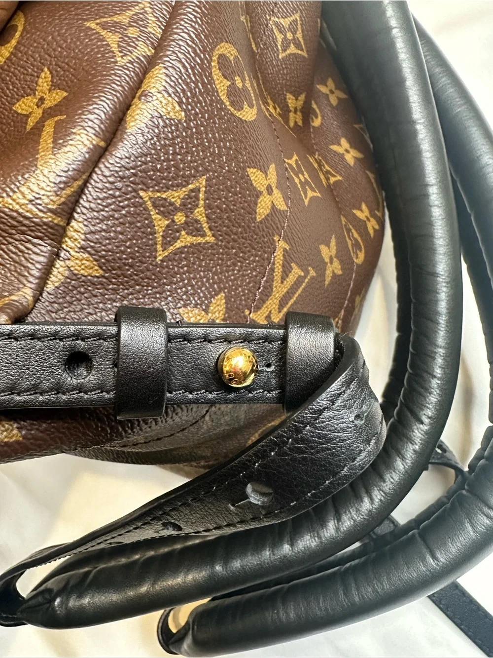 Louis Vuitton Palm Springs PM Backpack